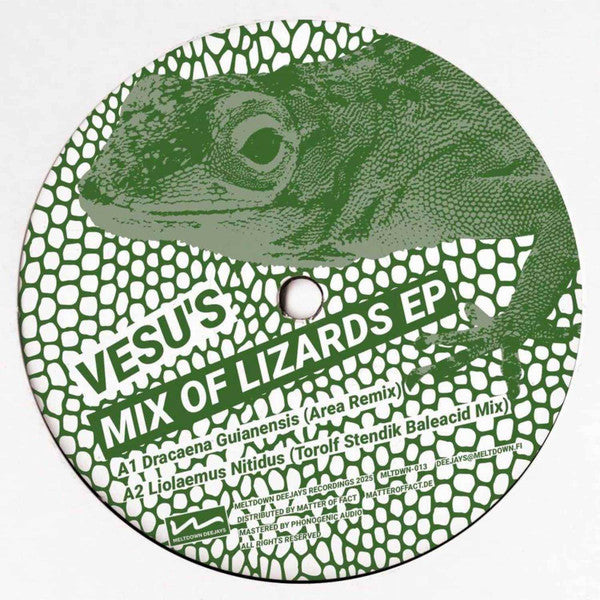 Vesu's – Mix Of Lizards EP (12")