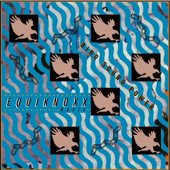 Equiknoxx - Bird Sound Power