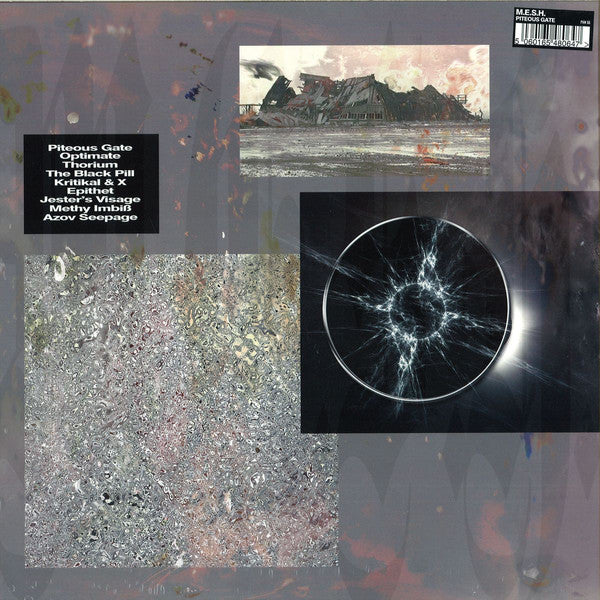 Mesh - Piteous Gate