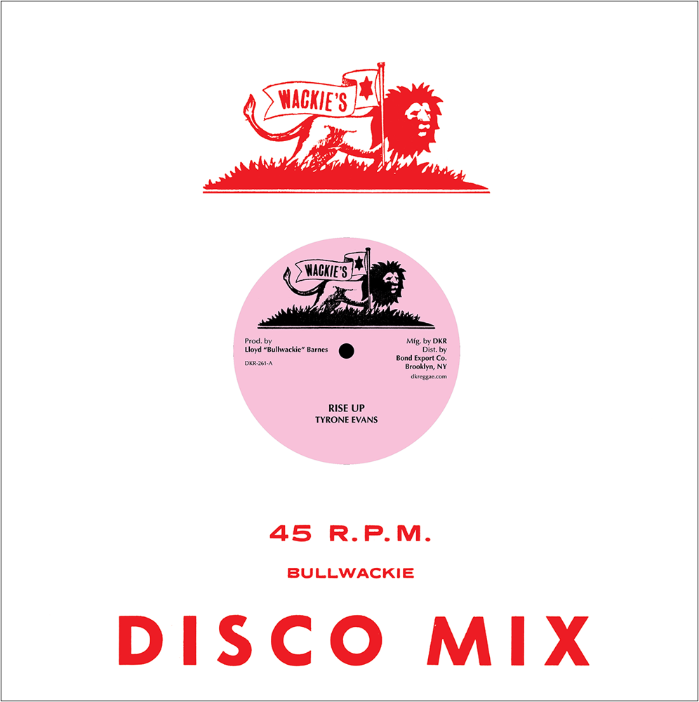 Rise Up (12")