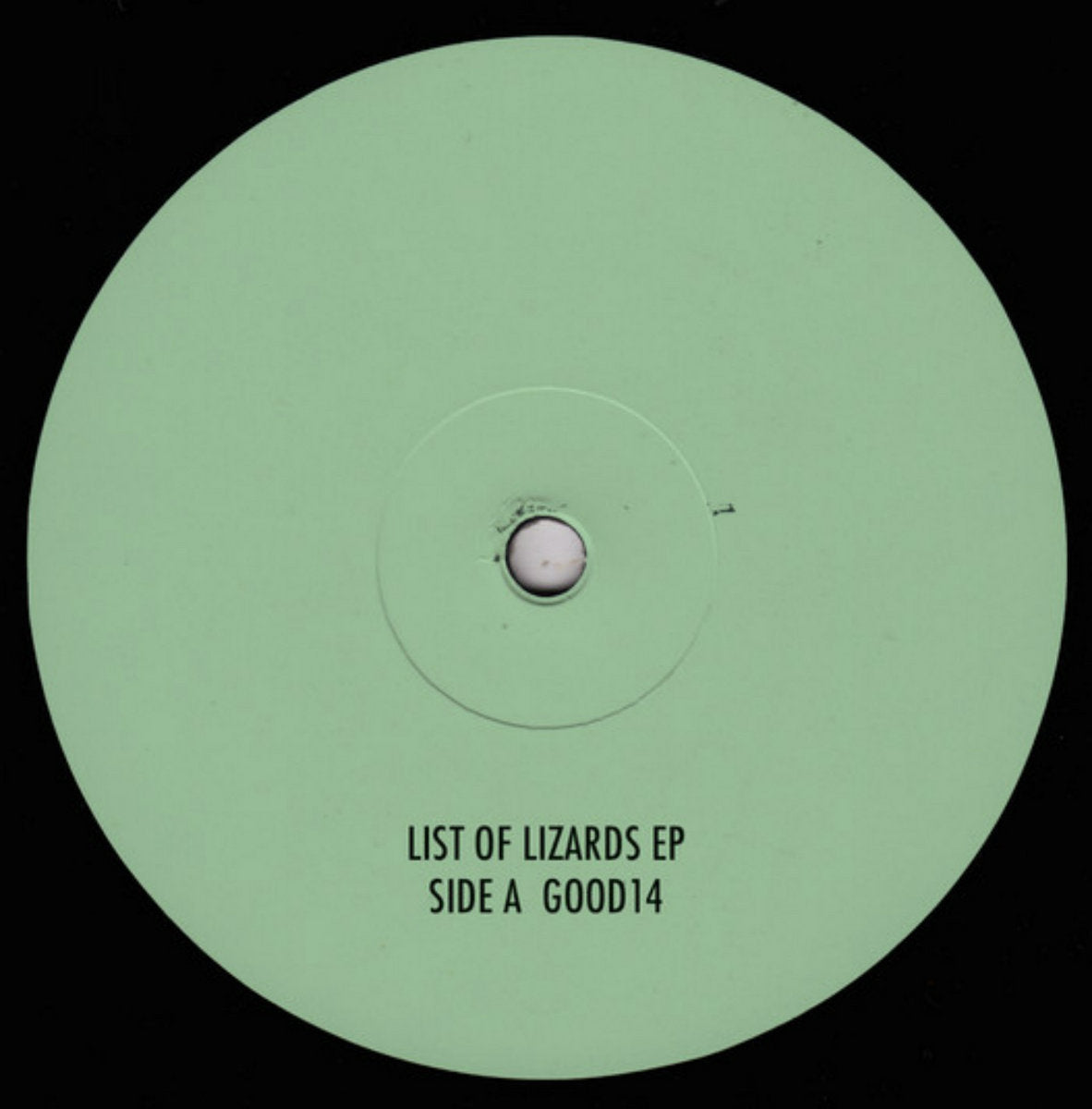 Vesu's - List of Lizards
