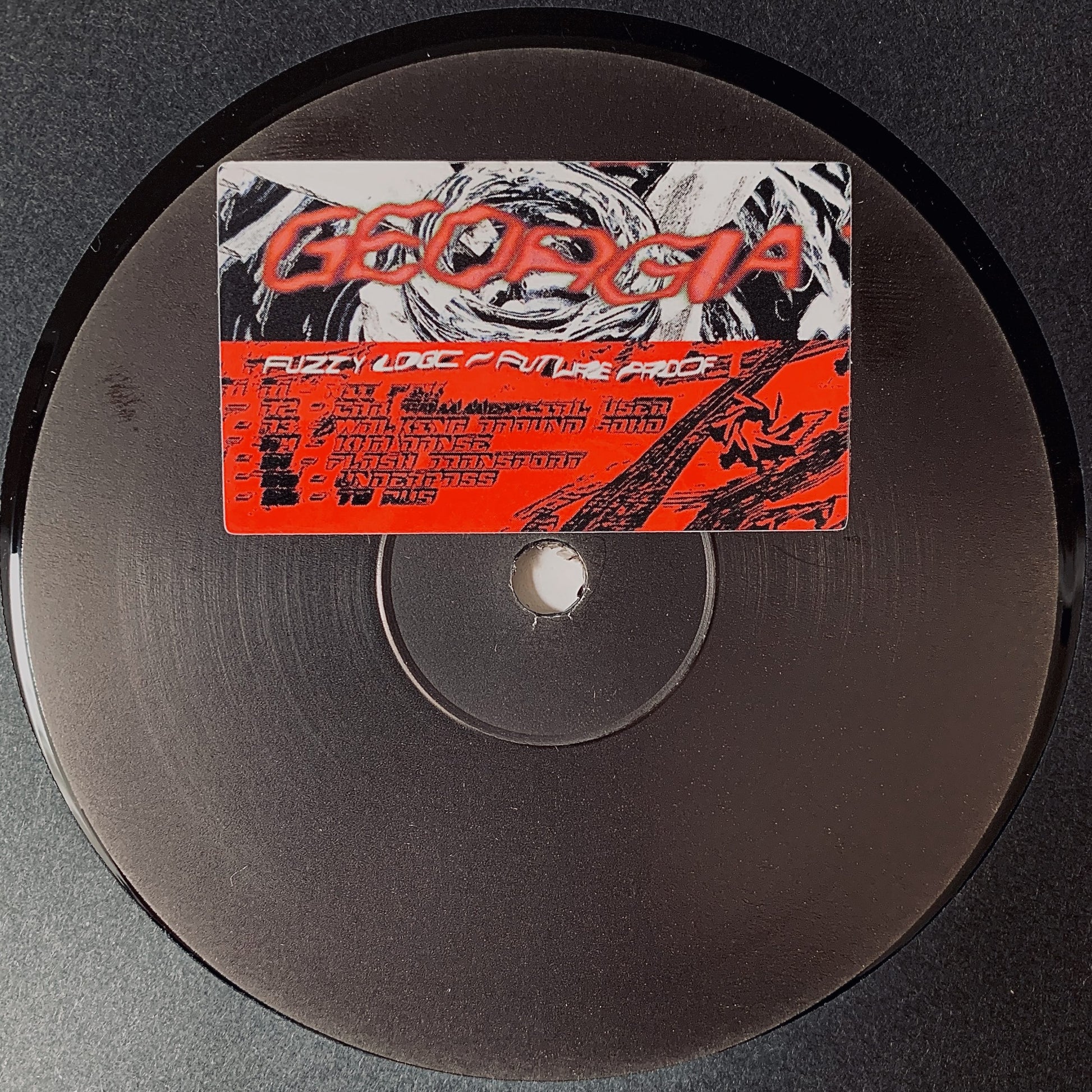 Georgia - Fuzzy Logic _ Future Proof