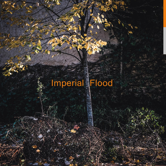 Logos ‎– Imperial Flood